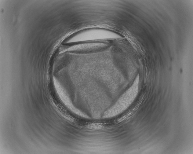 X0000085770252200704131811