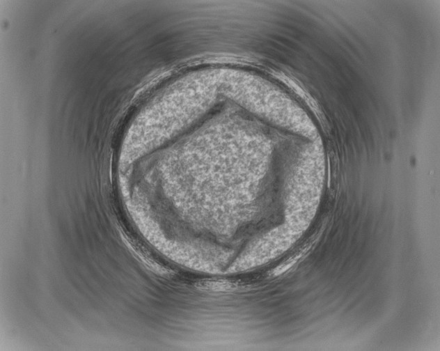 X0000085770253200704131811