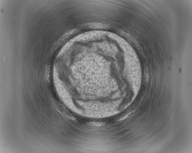 X0000085770255200704131811