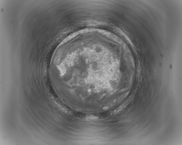 X0000085770257200704131811