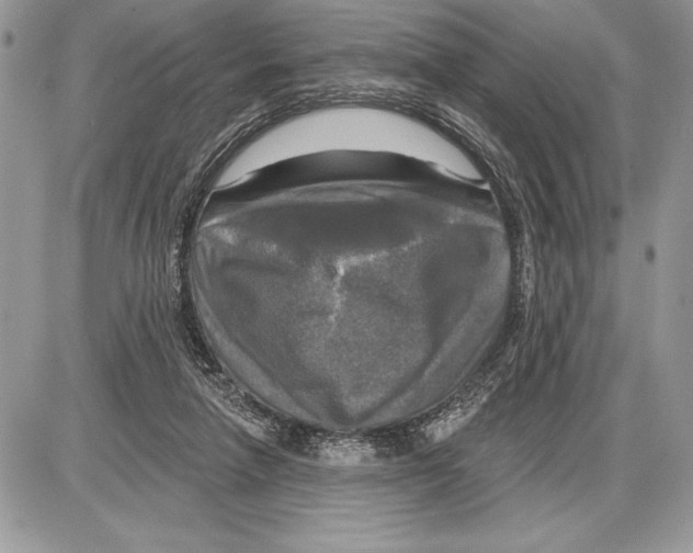 X0000085770258200704131811