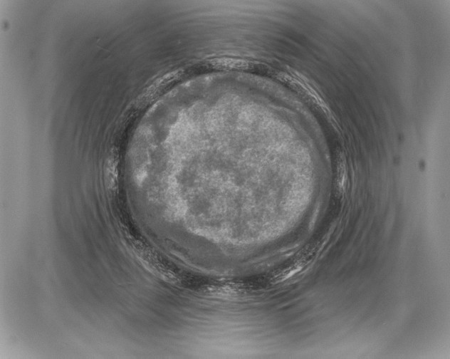 X0000085770259200704131811