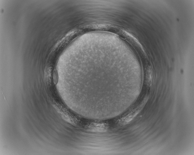 X0000085770260200704131811