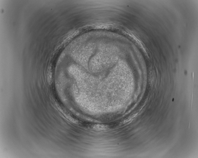 X0000085770261200704131811