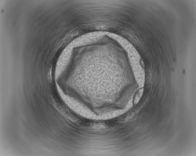 X0000085770262200704131811