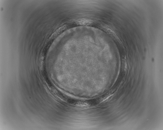 X0000085770263200704131811