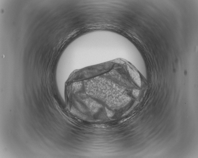 X0000085770264200704131811