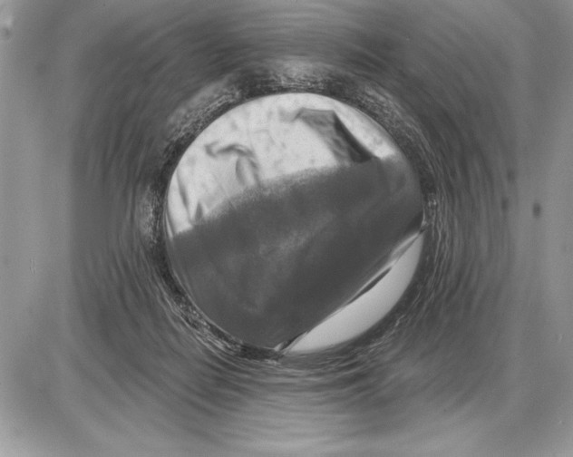 X0000085770266200704131811