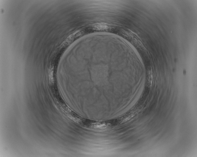 X0000085770267200704131811