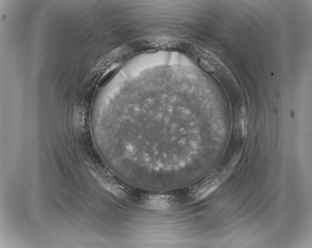 X0000085770268200704131811