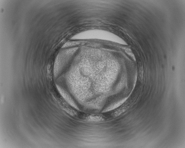 X0000085770270200704131811