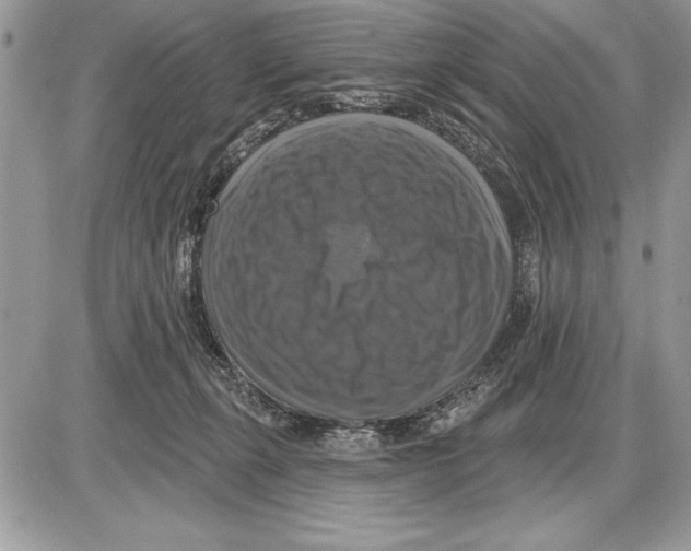 X0000085770271200704131811