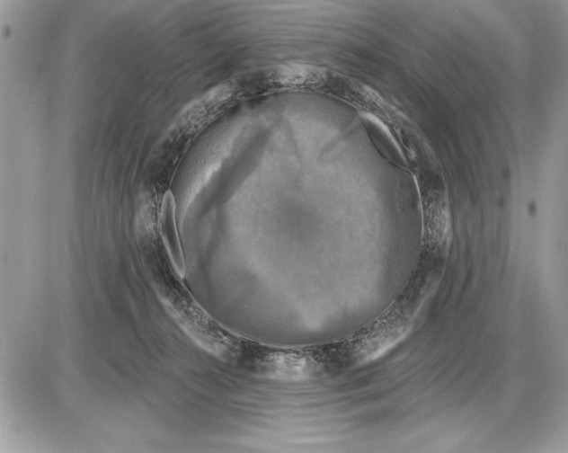 X0000085770272200704131811