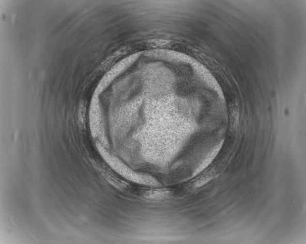 X0000085770274200704131811