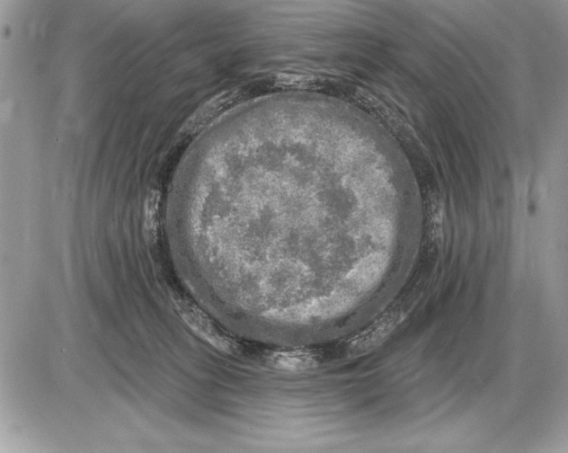 X0000085770275200704131811