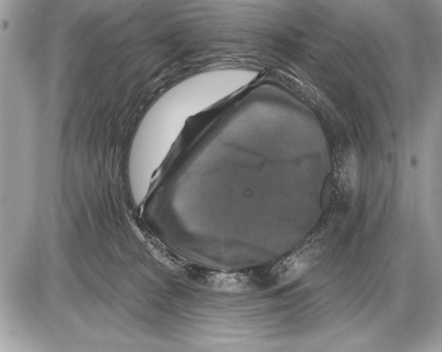 X0000085770277200704131811