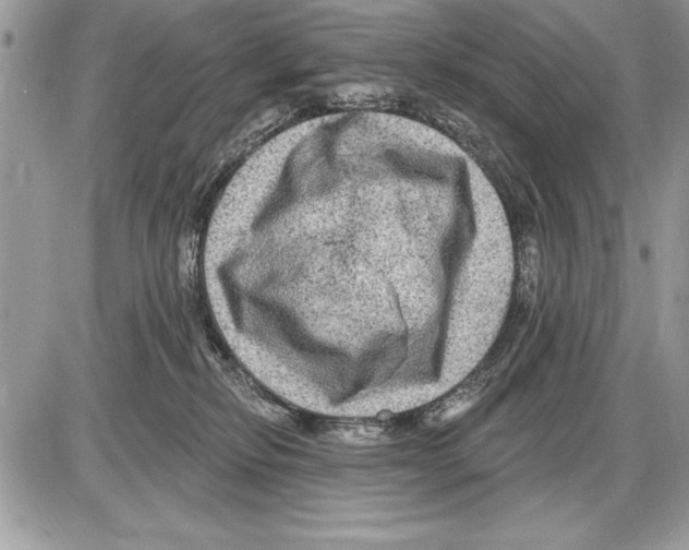 X0000085770278200704131811