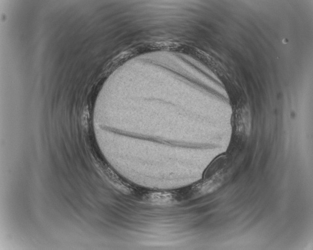 X0000085770279200704131811