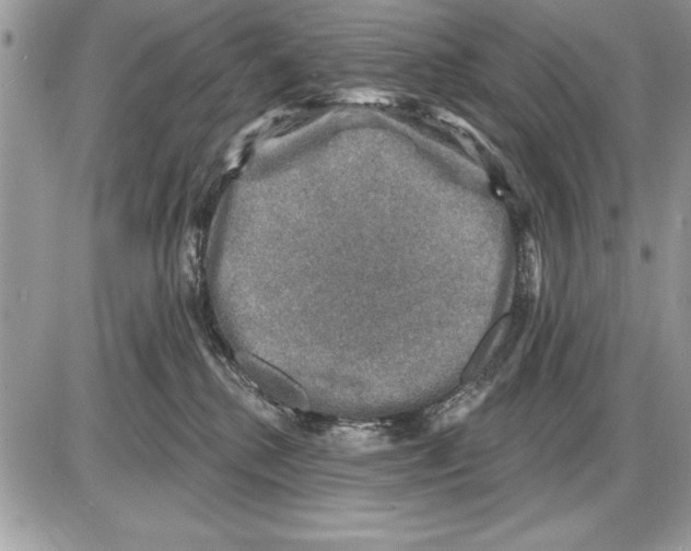 X0000085770280200704131811