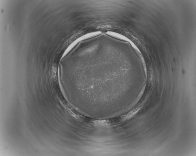 X0000085770281200704131811