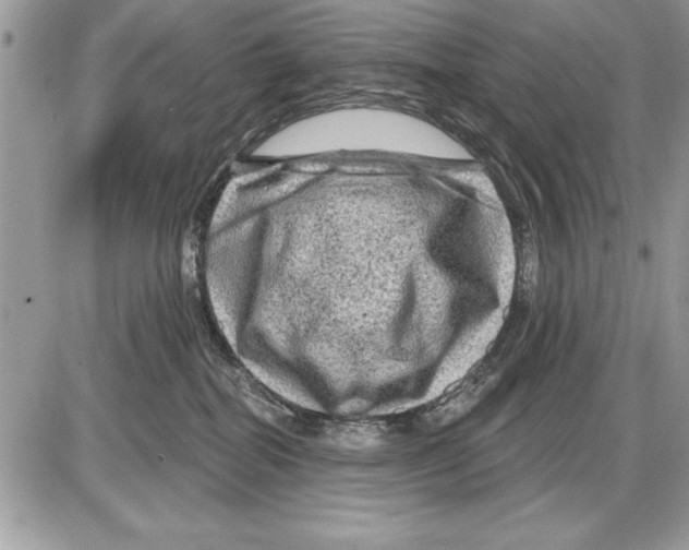 X0000085770282200704131811