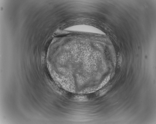 X0000085770283200704131811