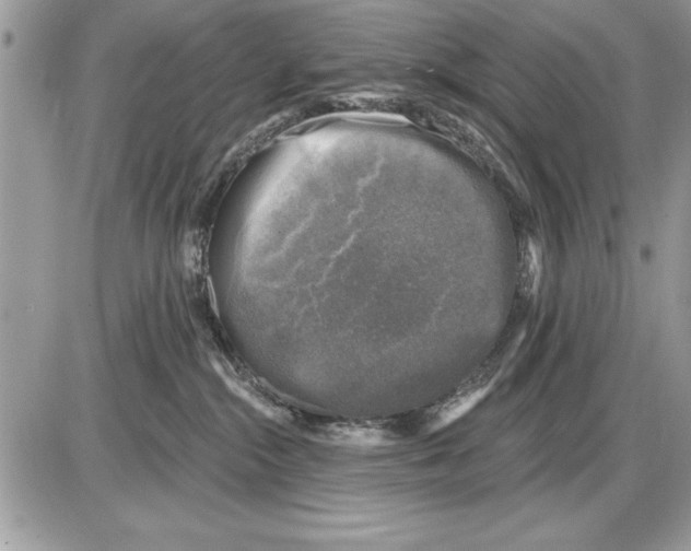 X0000085770284200704131811