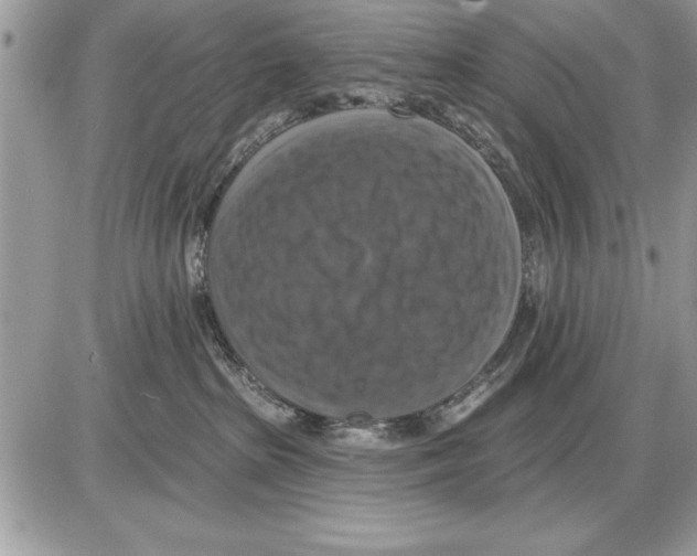 X0000085770285200704131811