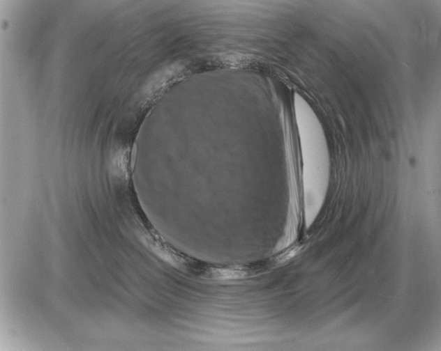 X0000085770286200704131811