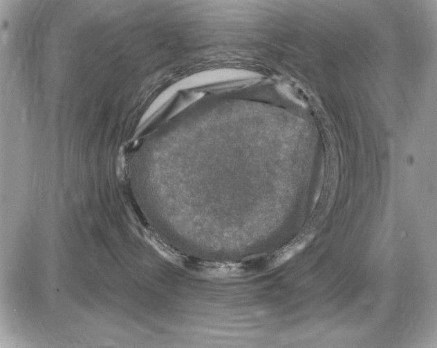 X0000085770288200704131811