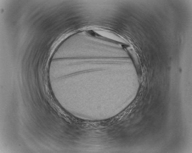 X0000085770289200704131810