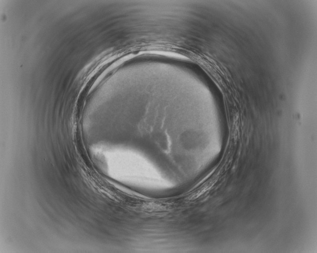 X0000085770290200704131810