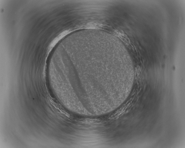 X0000085770292200704131810