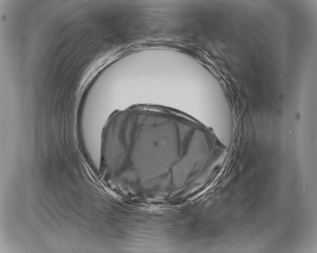 X0000085770293200704131810