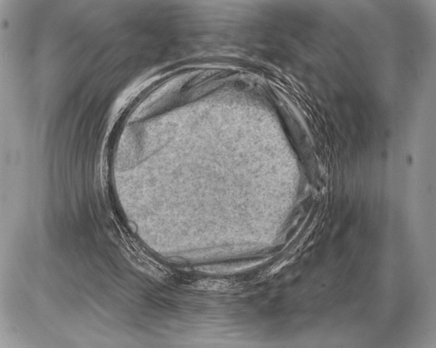 X0000085770294200704131810