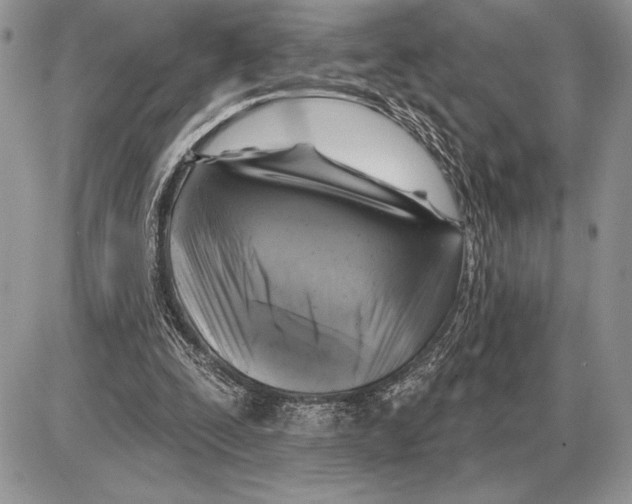 X0000085770295200704131810