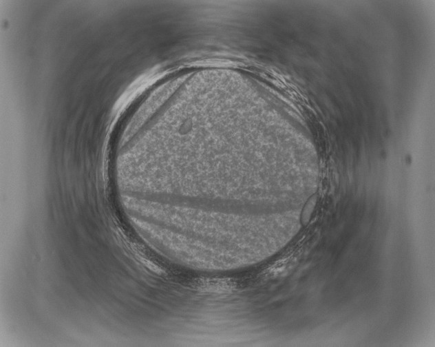 X0000085770296200704131810