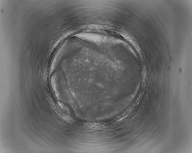 X0000085770297200704131810