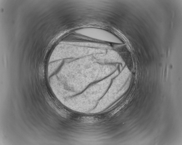 X0000085770298200704131810