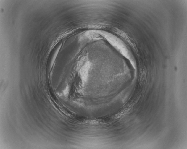 X0000085770299200704131810