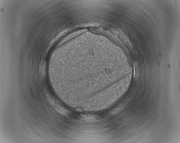 X0000085770300200704131810