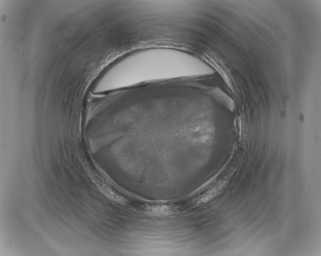 X0000085770301200704131810