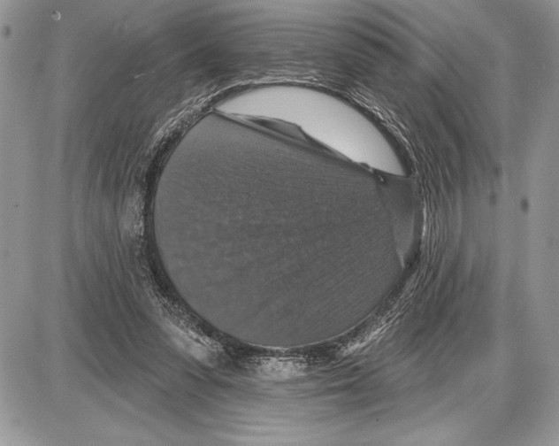 X0000085770303200704131810