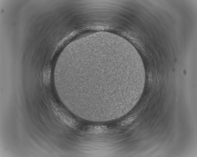 X0000085770304200704131810