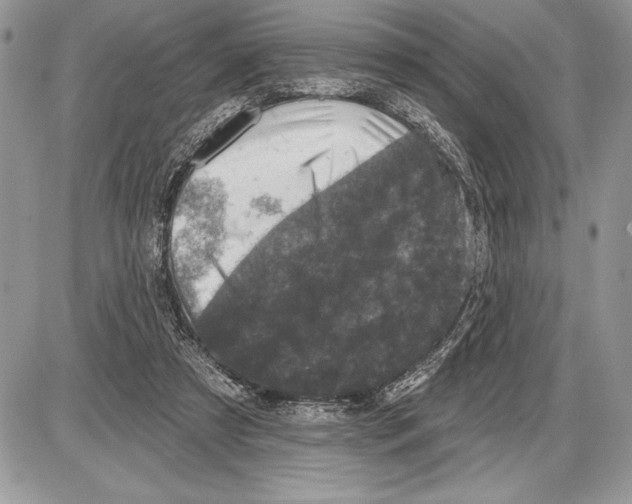 X0000085770305200704131810