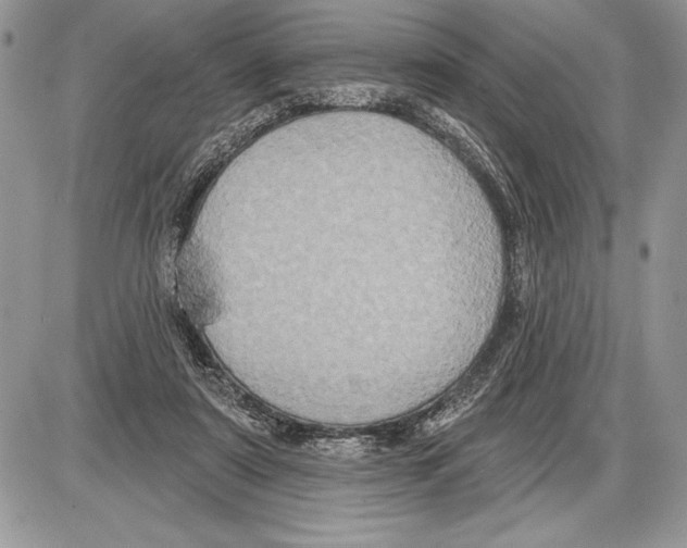 X0000085770307200704131810