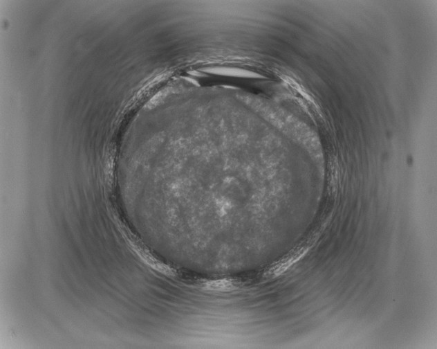 X0000085770309200704131810