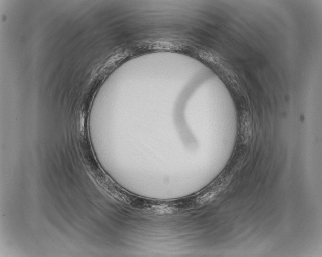 X0000085770310200704131810