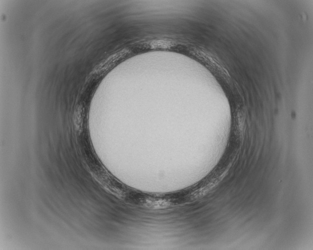 X0000085770311200704131810