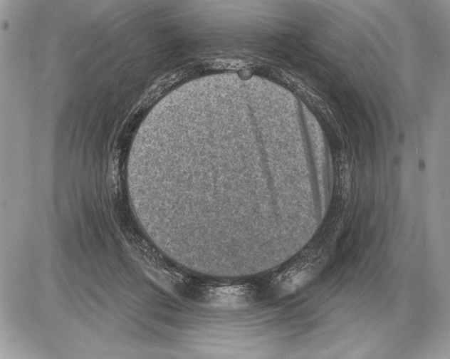 X0000085770312200704131810